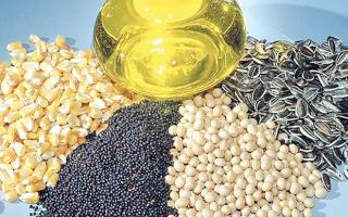  ثبت سفارش دانه‌های روغنی برای فصل زمستان از امروز ۴ دی ۱۴۰۴ آغاز شد.